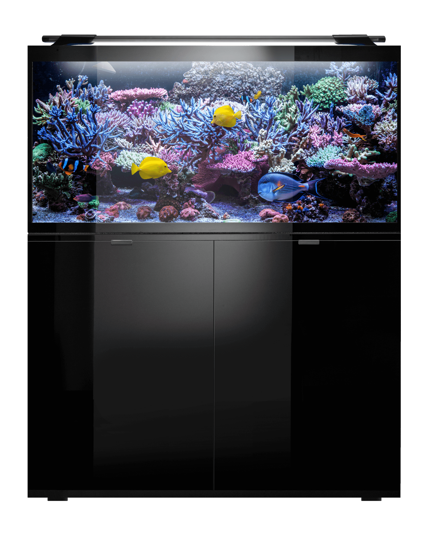 Marine fish tanks and aquariums for sale Aquael UK